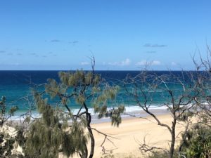 Sunshine Beach from the Surf Club, can you spot the whales? Neither could we. :)